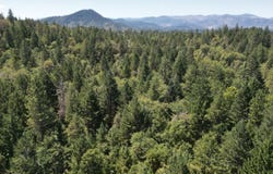 1752 Rounds Avenue, Grants Pass, OR 97527