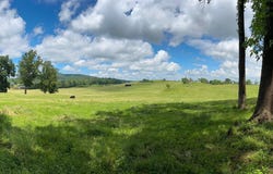 10674 ADA ROAD, MARSHALL, VA 20115