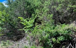 12 Oak  LN, Holiday Island, AR 72631