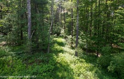 1604 Spruceton Road, West Kill, NY 12492