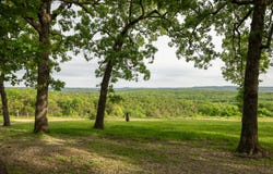 651 Round Robin Lane, Yellville, AR 72687