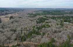 Tbd Lot 5 County Road 2240, Grapeland, TX 75844