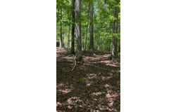 143 Terrapin Pointe, Hodges, SC 29653