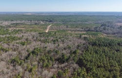 TBD Brushy Creek Road, Newhope, AR 71959