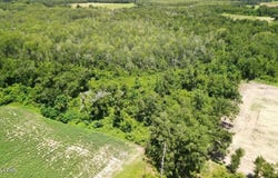 Peanut Road, Cottondale, FL 32431
