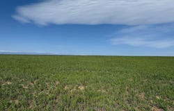 1 TBD FFD25-0004A County Road 15, Carr, CO 80612