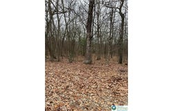 102 Heavenly Valley Drive, Pike, PA 18464