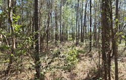 Renee Drive lot: B-11, Hampstead, NC 28443