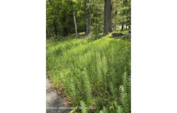 400 Red Hill Road, Wurtsboro, NY 12790