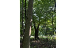 366th Street, North Branch, MN 55056