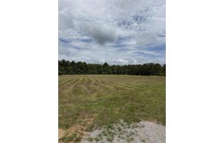 Hwy 12 E, Columbus, MS 39702