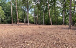 0 Warrick Barn Road, Amherst, VA 24521