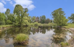 12170 Riethmiller Road, Grass Lake, MI 49240