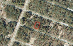Tbd MALAUKA DRIVE, OCKLAWAHA, FL 32179
