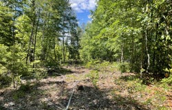 0 Hwy 17, Butler, AL 36904