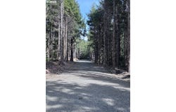 Greenleaf Road, ArchCape, OR 97102