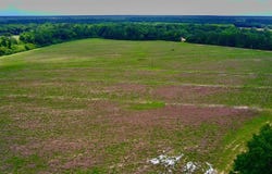 0 North County Rd. 75, Ashford, AL 36312