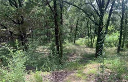 3265 Nob Hill Drive, Conway, AR 72034