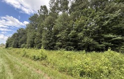Tract 2 COUNTY ROAD 103, WOODLAND, AL 36280