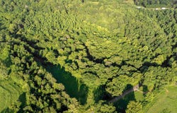 0 Co Rd 88, Anderson, AL 35610