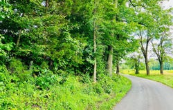 81 Shearer Cemetery Ln, Columbia, KY 42728