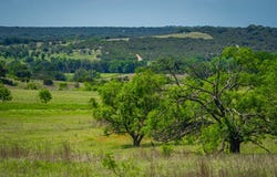 County Rd 535, Evant, TX 76525