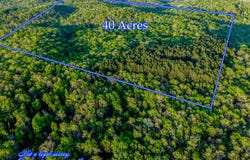County Road 1990, Willow Springs, MO 65793