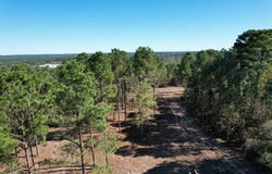 Tbd-a Hwy 84, Mount Enterprise, TX 75681