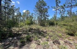 3974 NW Joy Lane, Altha, FL 32421