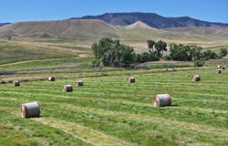 77 Sand Creek Ranch Road, Buffalo, WY 82834