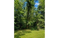 1981 Oak Grove Road, Jasper, TX 75951