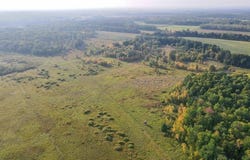 60 Acres COUNTY ROAD II, Rudolph, WI 54475