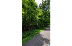 HICKORY HILL ROAD lot: 1509320001221000, RAINBOW CITY, AL 35906