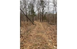 70 Madison CR 410, Fredericktown, MO 63645