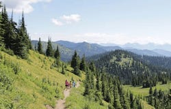 303 Wood Run Drive, Whitefish, MT 59937