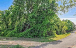 LOVELADY LANE lot: 1, LAWLEY, AL 36793