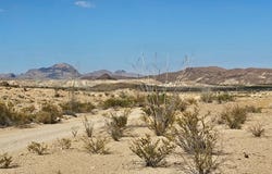 2701-B-E Mathews Drive, Terlingua, TX 79852