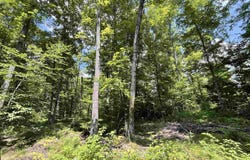 17290 County Road 468, Newberry, MI 49868