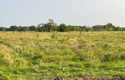 ELM BRANCH lot: 11, Elm Mott, TX 76640