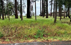 0 Pineland Circle, Magalia, CA 95954
