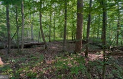 64 PANNERS LANE, FREDERICKSBURG, VA 22406