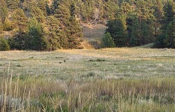 Skyway Drive, Billings, MT 59106