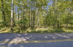 .94 ACRES MOSSER, MCHENRY, MD 21541