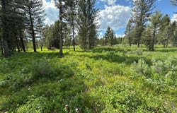 4095 Icehouse Creek Road, Island Park, ID 83429