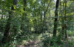4 Us-52, Laurel, IN 47024