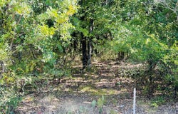 Westmeadow Dr, Whitney, TX 76692