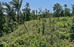 000 Pea Ridge Rd, Waterloo, AL 35677