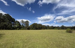 Sharon Road, Canton, MS 39046