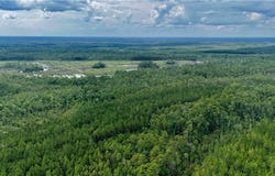 0 Off Dogwood Road, Waynesville, GA 31566