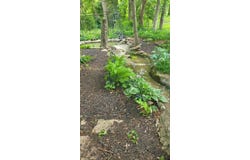 105 E 1st Street, Ovid, MI 48866